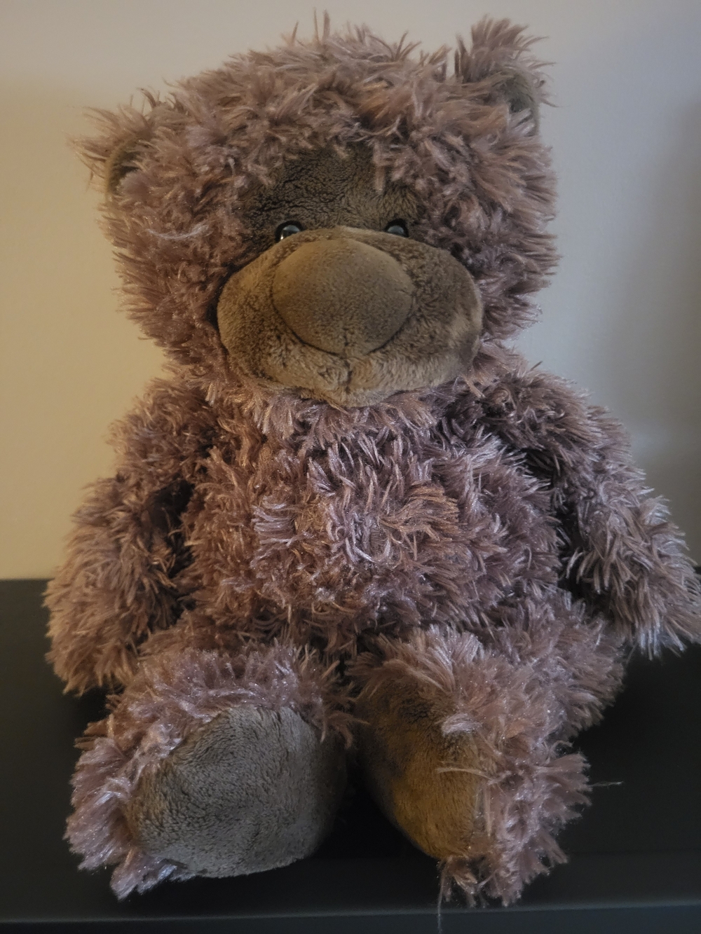 Brown Gund Plush Bear